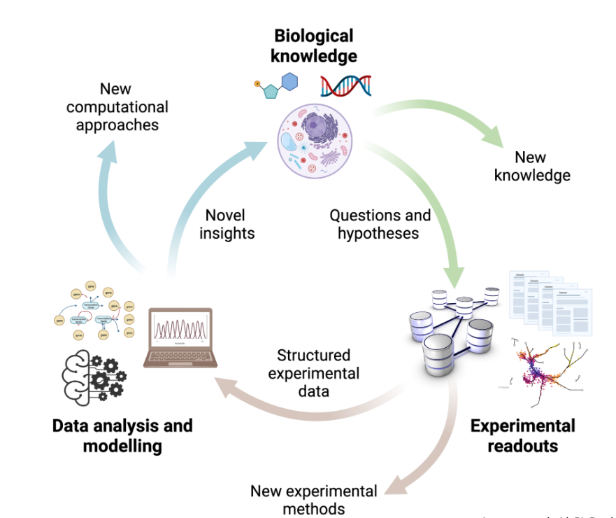 Kép_Systems Biology